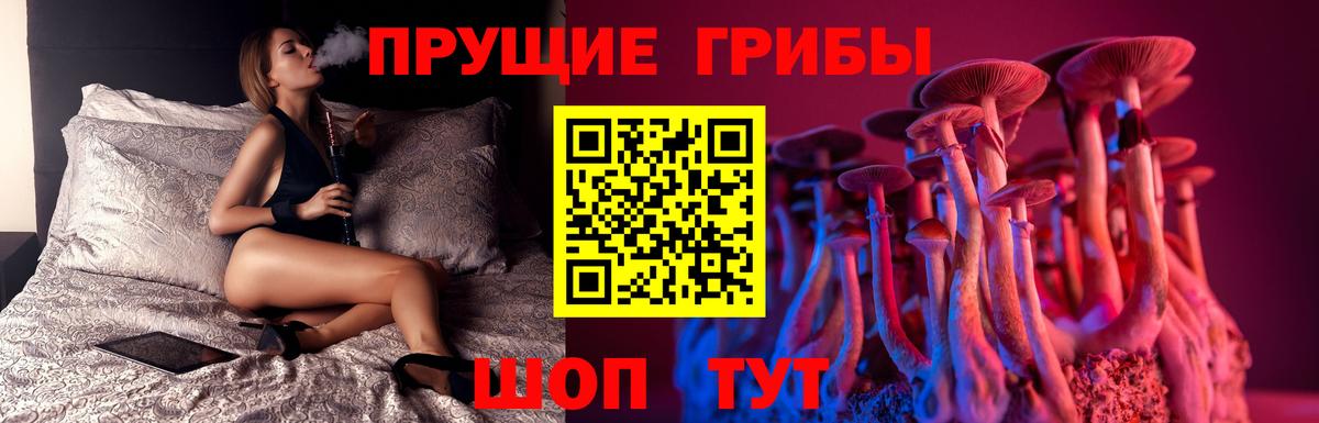 Галлюциногенные грибы MAGIC MUSHROOMS  Вход с VPN  Галлюциногенные грибы Magic Shrooms  Нефтекамск 